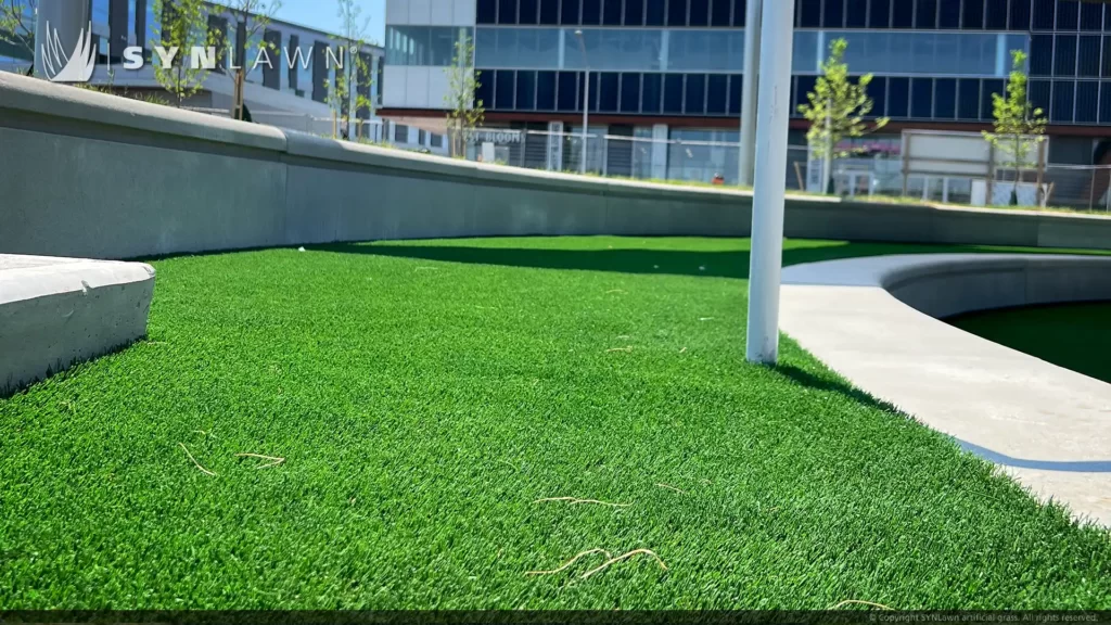 SYNLawn-artificial-grass-at-West-5-net-zero-community-London-Toronto-Ontario-